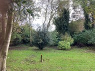 Images for Mill Road, Tillingham, Southminster, Essex,