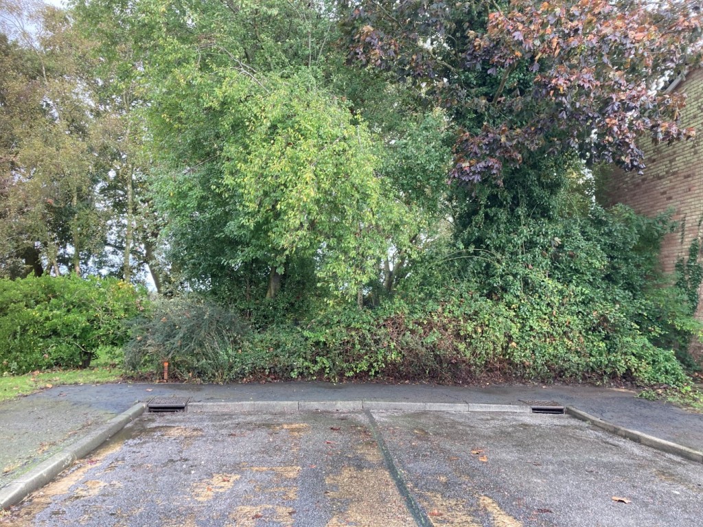 Images for Mill Road, Tillingham, Southminster, Essex, EAID:ISSL BID:401
