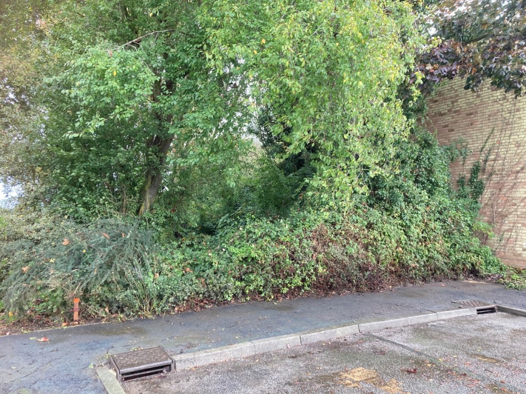 Images for Mill Road, Tillingham, Southminster, Essex, EAID:ISSL BID:401