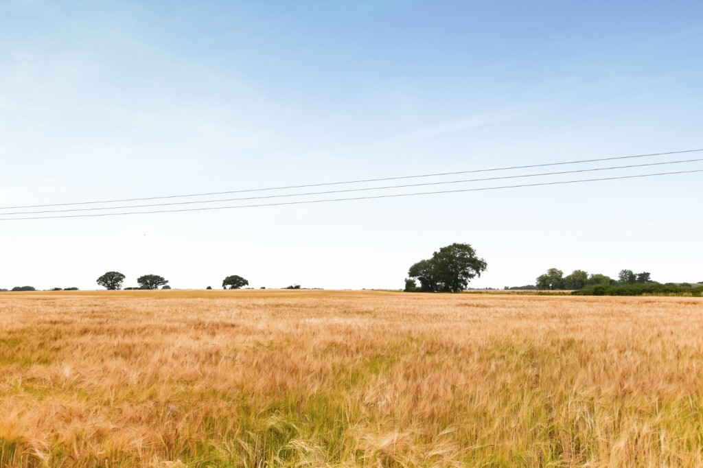 Images for Maldon Road, Goldhanger EAID:ISSL BID:401
