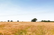Images for Maldon Road, Goldhanger