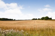 Images for Main Road, Mundon