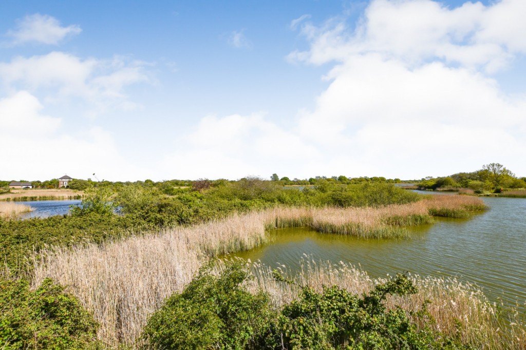 Images for St. Pauls Mews, Heybridge EAID:ISSL BID:401