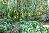 Images for Jersey Road, Maldon, CM9 5JH
